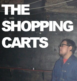 THE SHOPPING CARTS